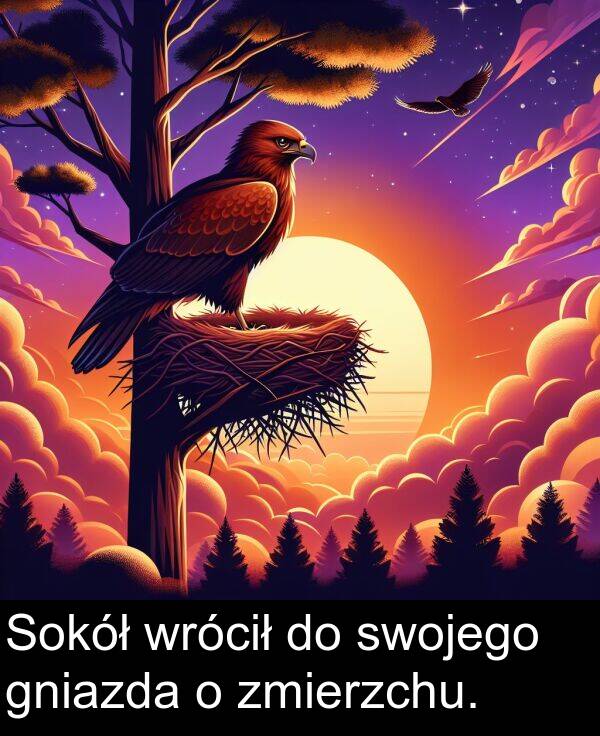 zmierzchu: Sokół wrócił do swojego gniazda o zmierzchu.