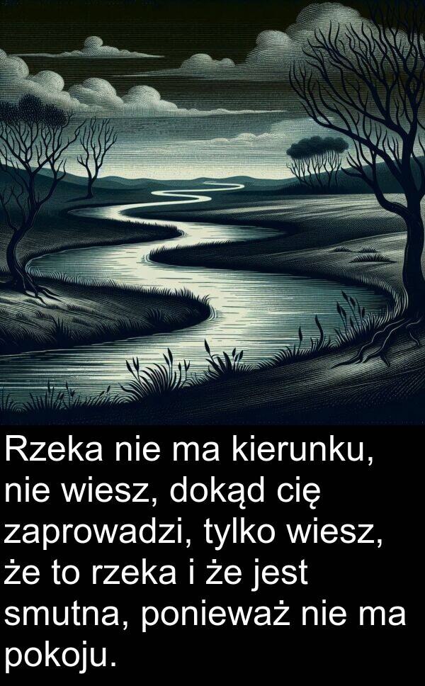 kierunku: Rzeka nie ma kierunku, nie wiesz, dokąd cię zaprowadzi, tylko wiesz, że to rzeka i że jest smutna, ponieważ nie ma pokoju.