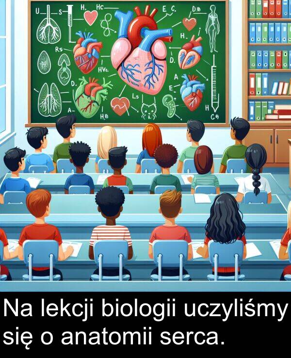 uczyliśmy: Na lekcji biologii uczyliśmy się o anatomii serca.