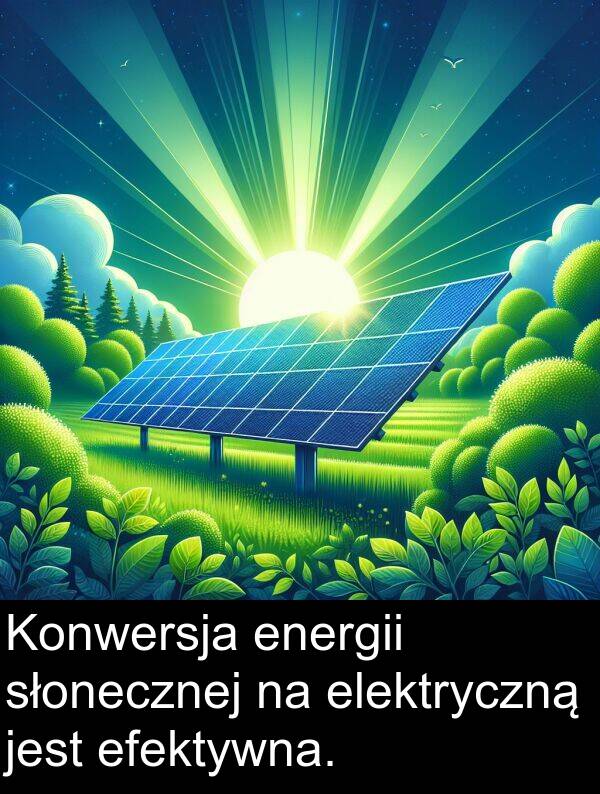 efektywna: Konwersja energii słonecznej na elektryczną jest efektywna.