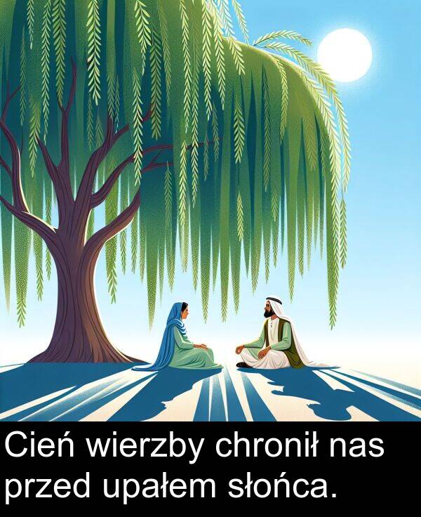 chronił: Cień wierzby chronił nas przed upałem słońca.