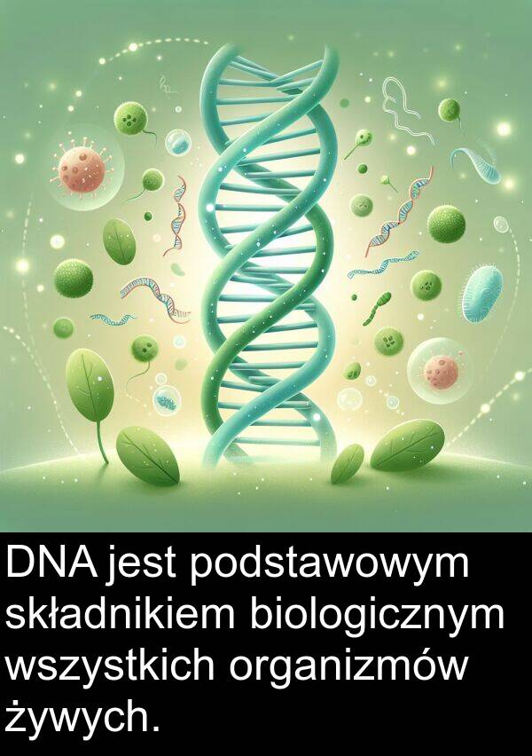 żywych: DNA jest podstawowym składnikiem biologicznym wszystkich organizmów żywych.