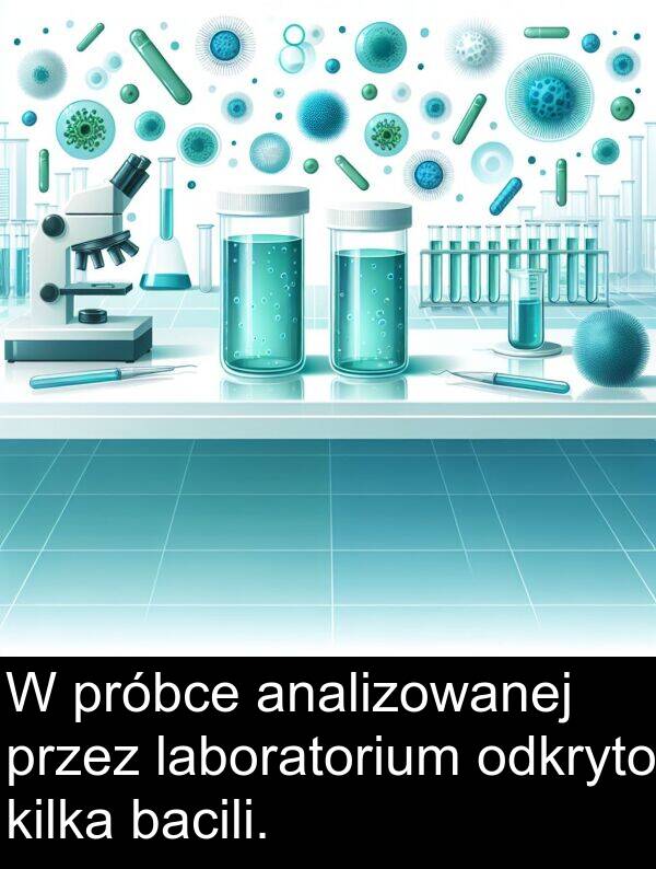 laboratorium: W próbce analizowanej przez laboratorium odkryto kilka bacili.