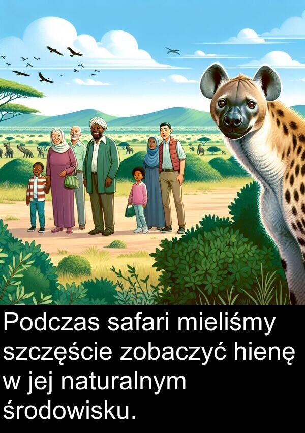 naturalnym: Podczas safari mieliśmy szczęście zobaczyć hienę w jej naturalnym środowisku.