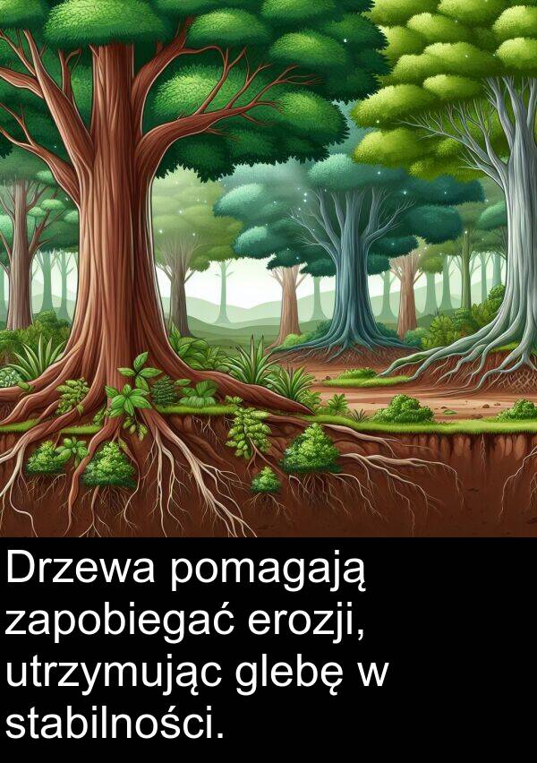 erozji: Drzewa pomagają zapobiegać erozji, utrzymując glebę w stabilności.