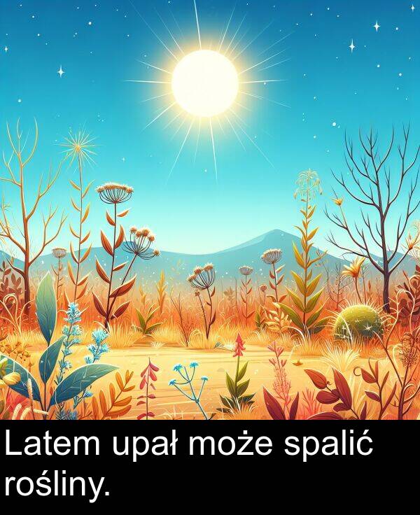 upał: Latem upał może spalić rośliny.