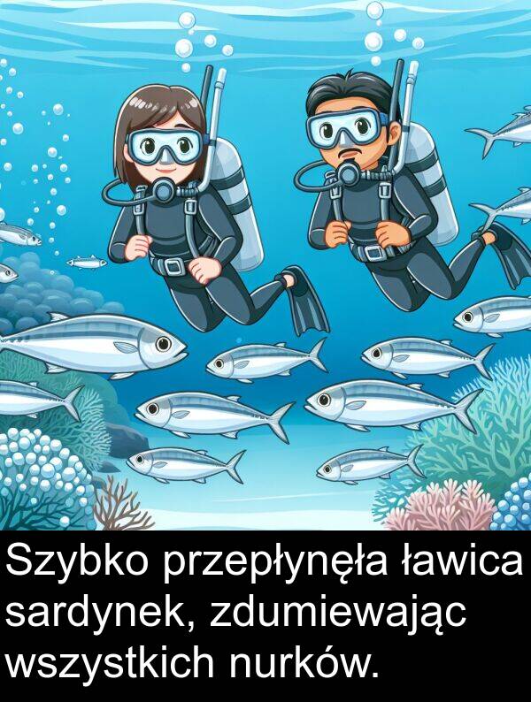 nurków: Szybko przepłynęła ławica sardynek, zdumiewając wszystkich nurków.