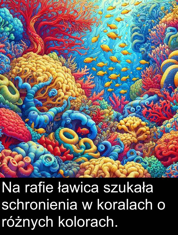 schronienia: Na rafie ławica szukała schronienia w koralach o różnych kolorach.