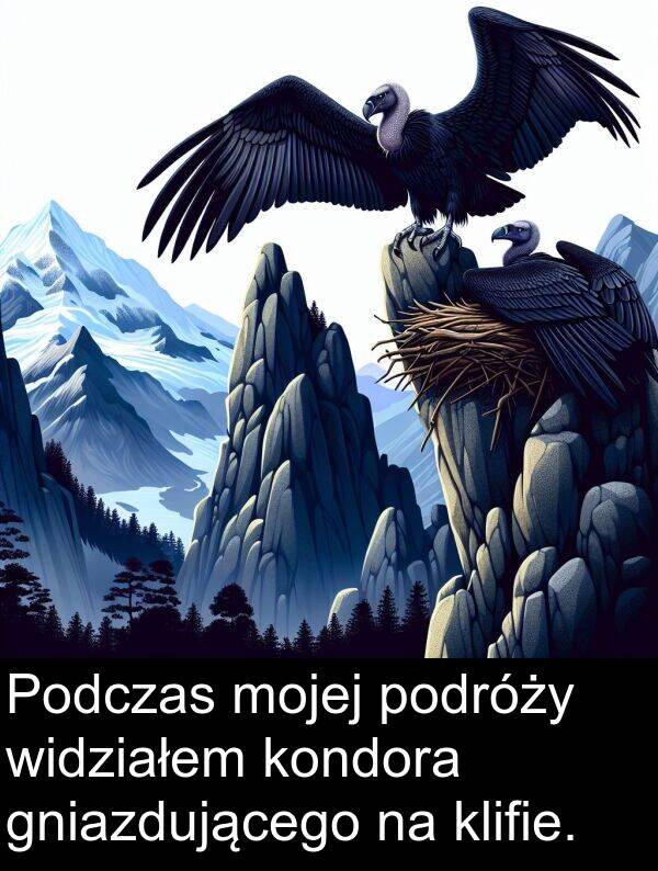 widziałem: Podczas mojej podróży widziałem kondora gniazdującego na klifie.