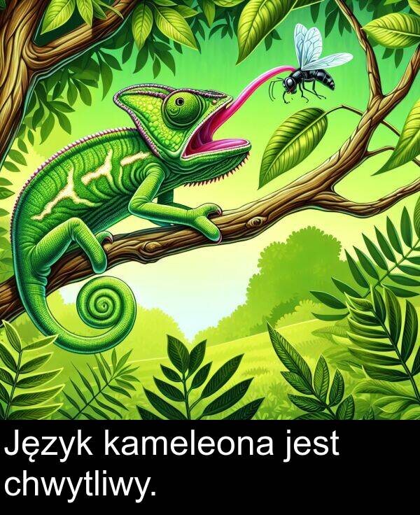 jest: Język kameleona jest chwytliwy.