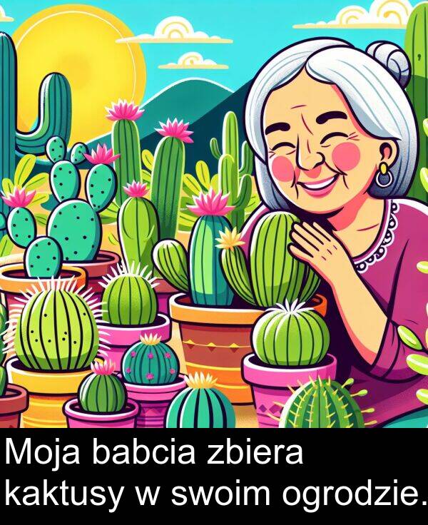 babcia: Moja babcia zbiera kaktusy w swoim ogrodzie.