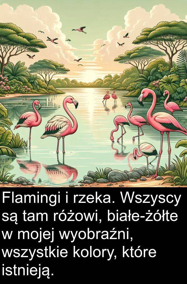 istnieją: Flamingi i rzeka. Wszyscy są tam różowi, białe-żółte w mojej wyobraźni, wszystkie kolory, które istnieją.