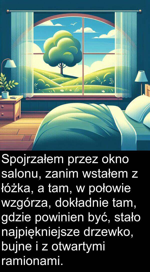 gdzie: Spojrzałem przez okno salonu, zanim wstałem z łóżka, a tam, w połowie wzgórza, dokładnie tam, gdzie powinien być, stało najpiękniejsze drzewko, bujne i z otwartymi ramionami.