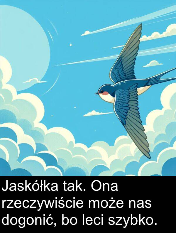 tak: Jaskółka tak. Ona rzeczywiście może nas dogonić, bo leci szybko.