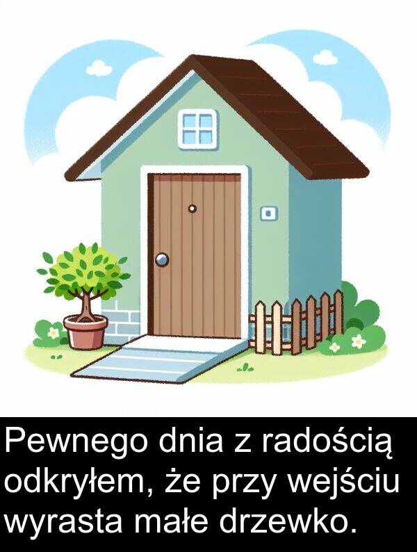 dnia: Pewnego dnia z radością odkryłem, że przy wejściu wyrasta małe drzewko.