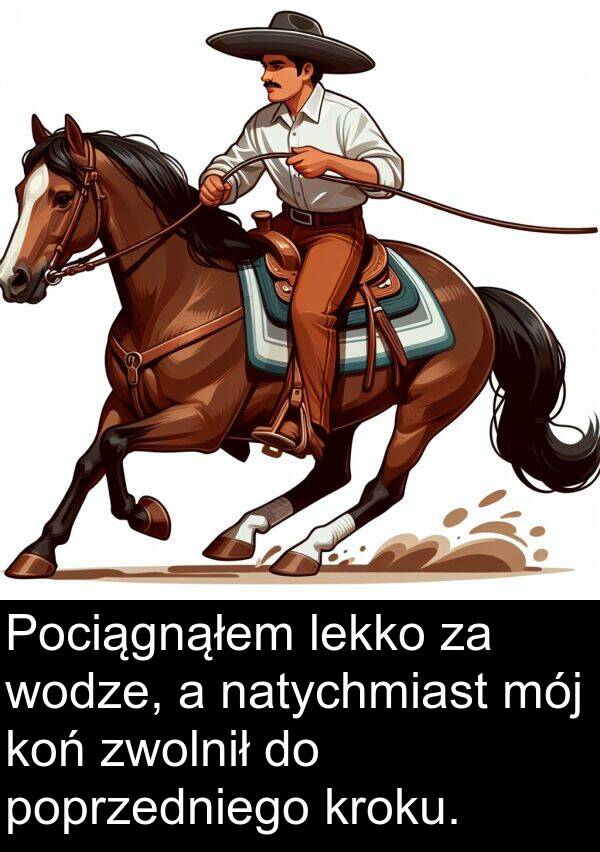 lekko: Pociągnąłem lekko za wodze, a natychmiast mój koń zwolnił do poprzedniego kroku.