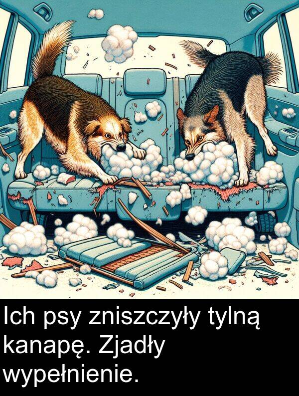 kanapę: Ich psy zniszczyły tylną kanapę. Zjadły wypełnienie.