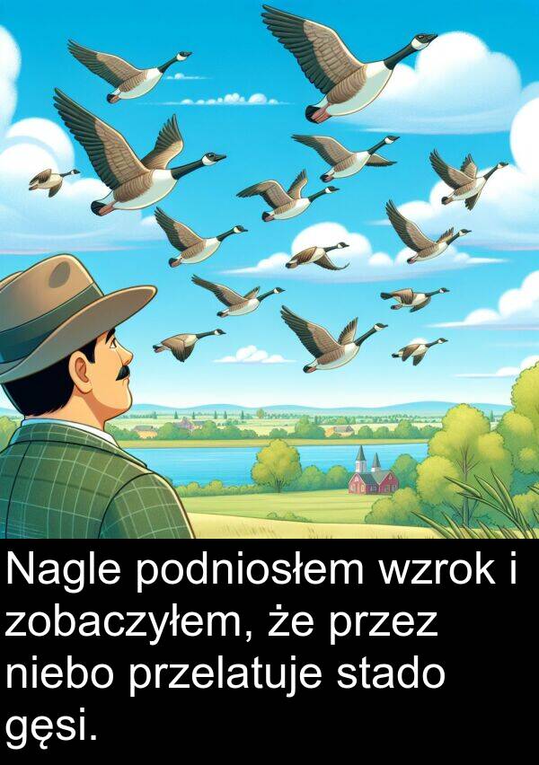 gęsi: Nagle podniosłem wzrok i zobaczyłem, że przez niebo przelatuje stado gęsi.