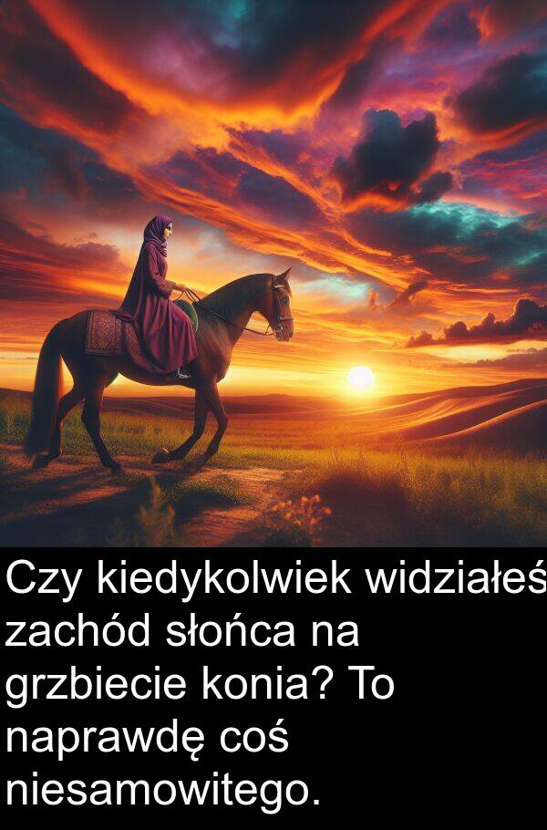 widziałeś: Czy kiedykolwiek widziałeś zachód słońca na grzbiecie konia? To naprawdę coś niesamowitego.