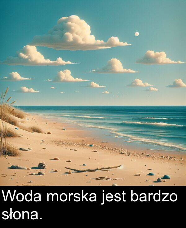 jest: Woda morska jest bardzo słona.