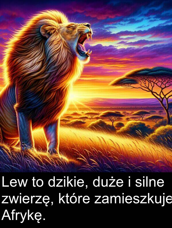 silne: Lew to dzikie, duże i silne zwierzę, które zamieszkuje Afrykę.