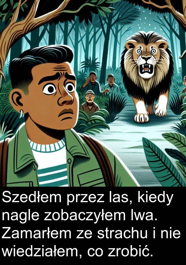 wiedziałem: Szedłem przez las, kiedy nagle zobaczyłem lwa. Zamarłem ze strachu i nie wiedziałem, co zrobić.