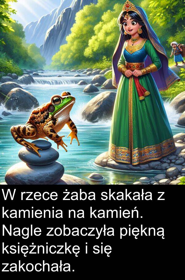 kamienia: W rzece żaba skakała z kamienia na kamień. Nagle zobaczyła piękną księżniczkę i się zakochała.