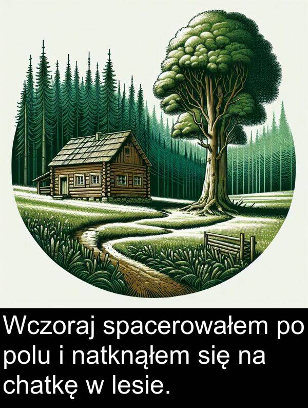 chatkę: Wczoraj spacerowałem po polu i natknąłem się na chatkę w lesie.