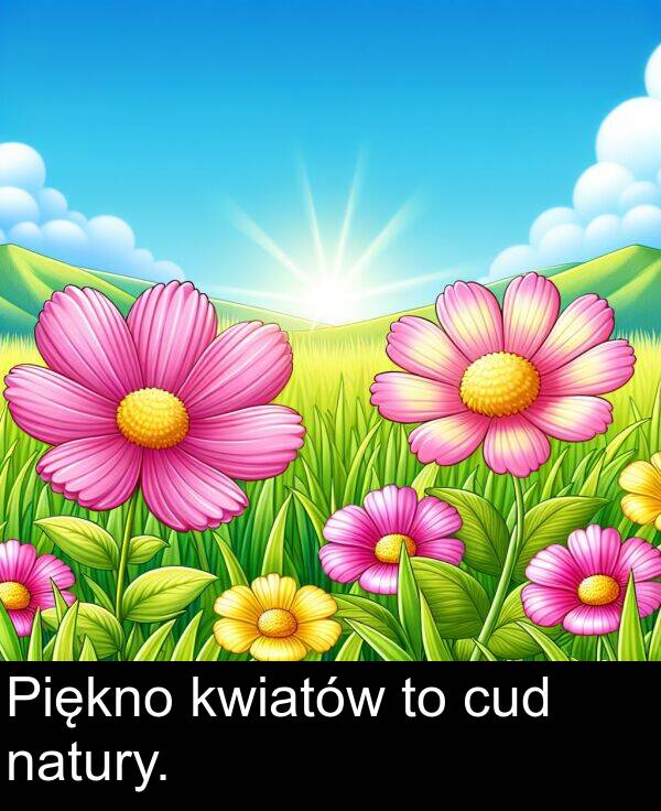 cud: Piękno kwiatów to cud natury.