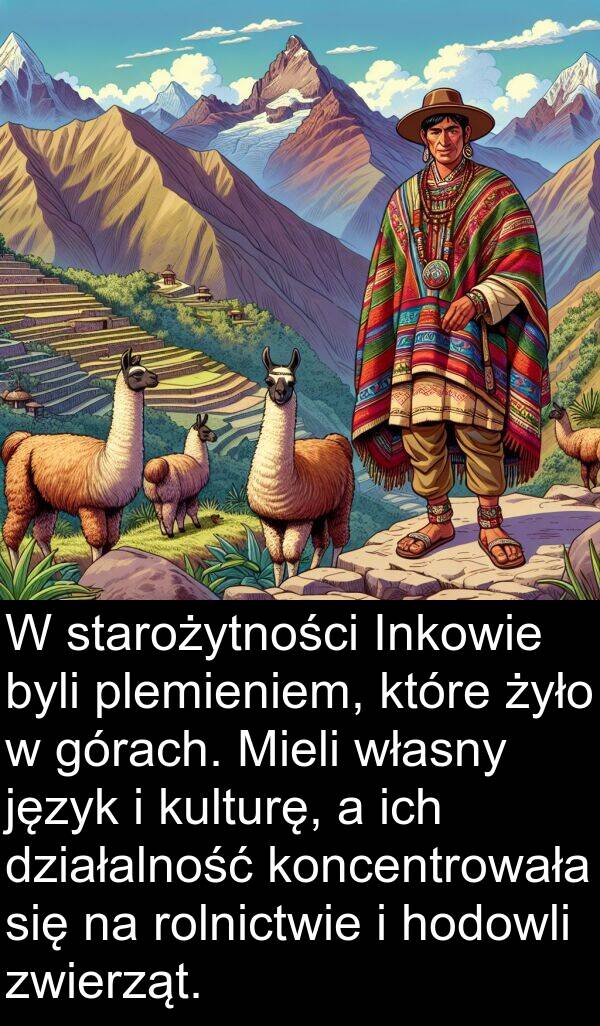 język: W starożytności Inkowie byli plemieniem, które żyło w górach. Mieli własny język i kulturę, a ich działalność koncentrowała się na rolnictwie i hodowli zwierząt.