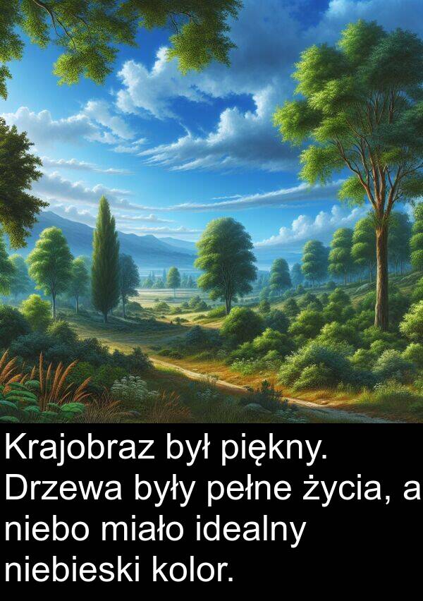 miało: Krajobraz był piękny. Drzewa były pełne życia, a niebo miało idealny niebieski kolor.