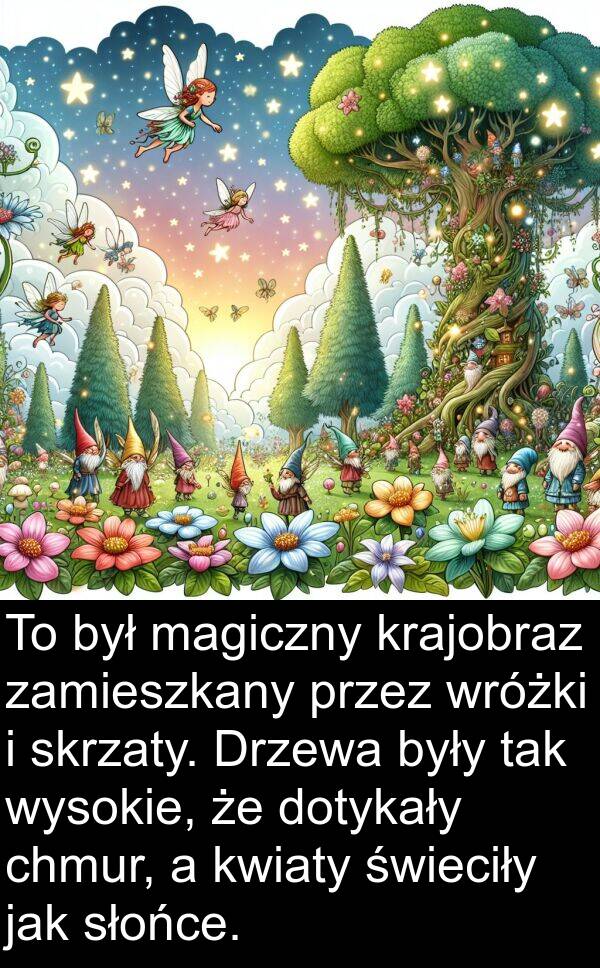 świeciły: To był magiczny krajobraz zamieszkany przez wróżki i skrzaty. Drzewa były tak wysokie, że dotykały chmur, a kwiaty świeciły jak słońce.