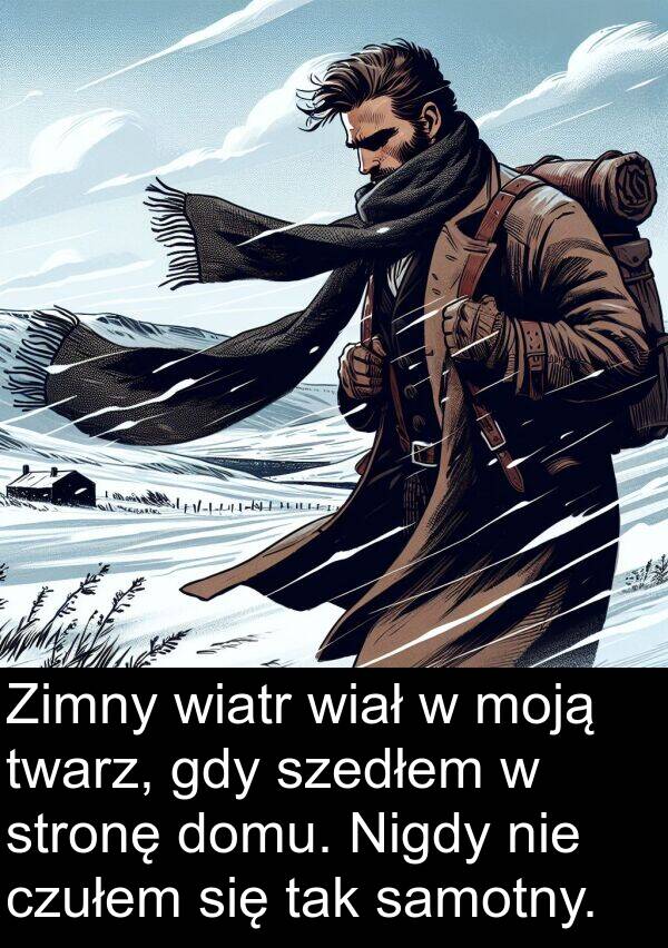 moją: Zimny wiatr wiał w moją twarz, gdy szedłem w stronę domu. Nigdy nie czułem się tak samotny.