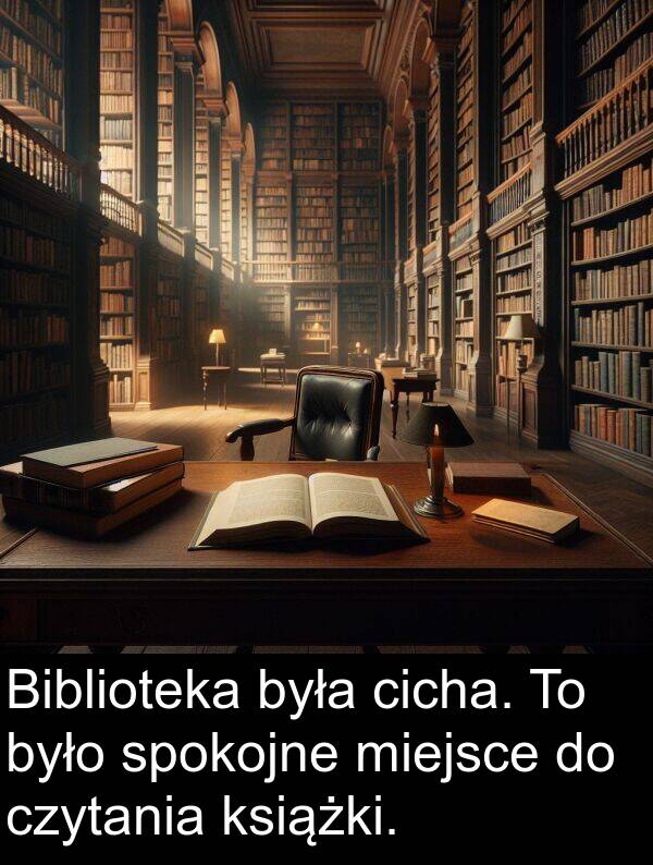 czytania: Biblioteka była cicha. To było spokojne miejsce do czytania książki.