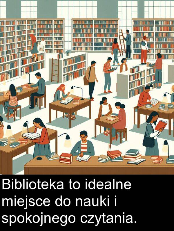 idealne: Biblioteka to idealne miejsce do nauki i spokojnego czytania.