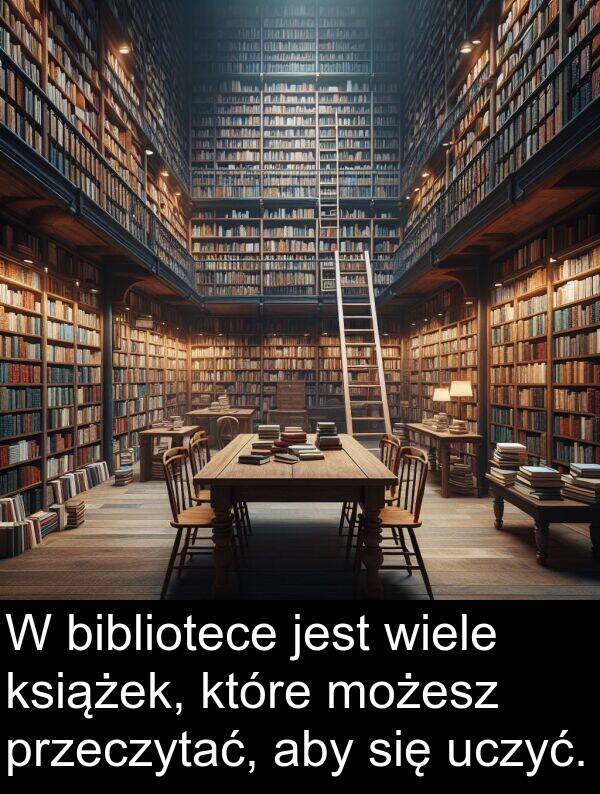 uczyć: W bibliotece jest wiele książek, które możesz przeczytać, aby się uczyć.