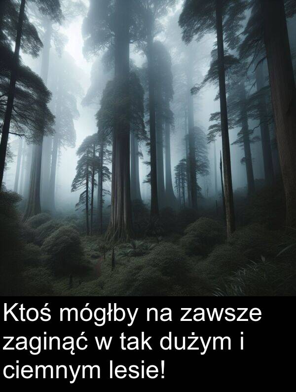 lesie: Ktoś mógłby na zawsze zaginąć w tak dużym i ciemnym lesie!