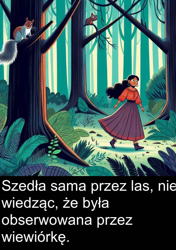 las: Szedła sama przez las, nie wiedząc, że była obserwowana przez wiewiórkę.