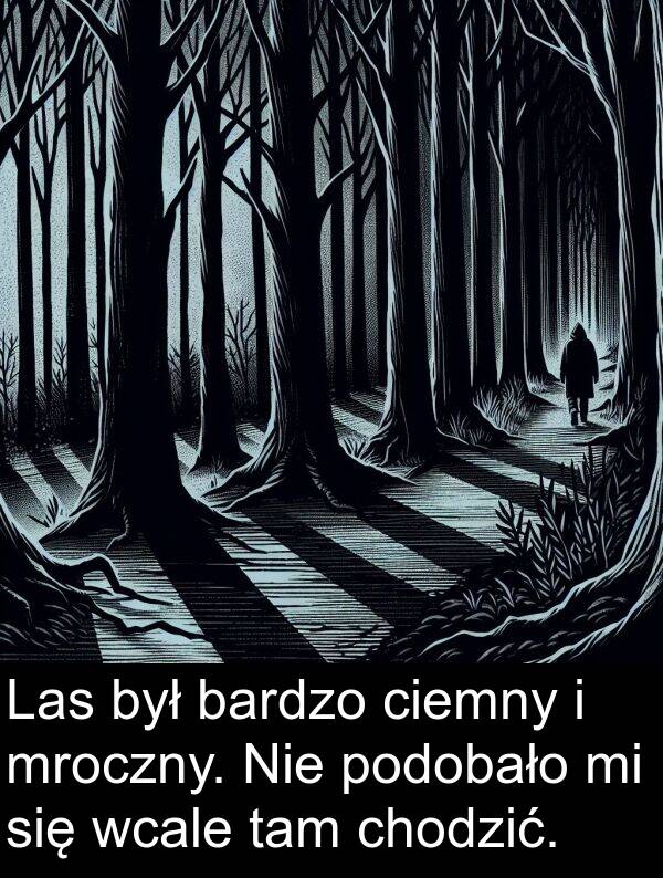 chodzić: Las był bardzo ciemny i mroczny. Nie podobało mi się wcale tam chodzić.