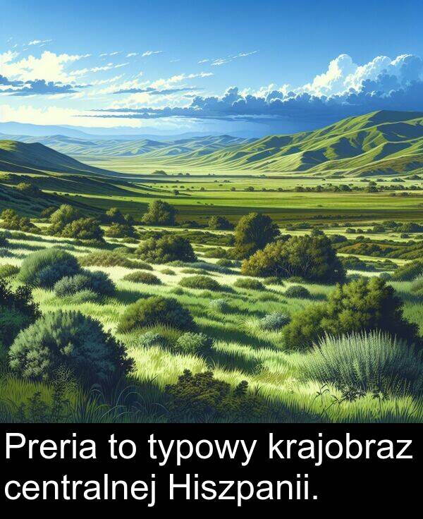 centralnej: Preria to typowy krajobraz centralnej Hiszpanii.