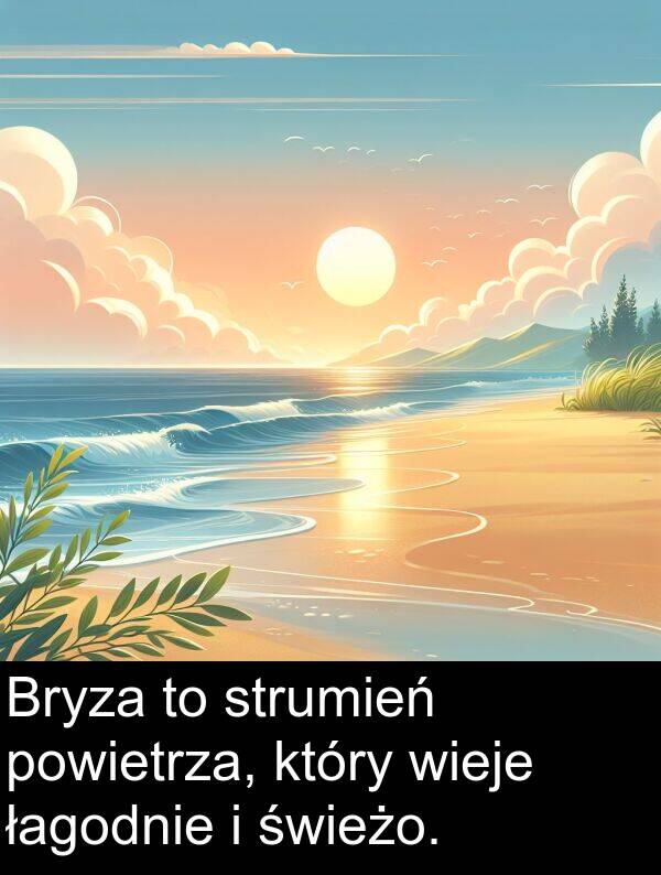 świeżo: Bryza to strumień powietrza, który wieje łagodnie i świeżo.