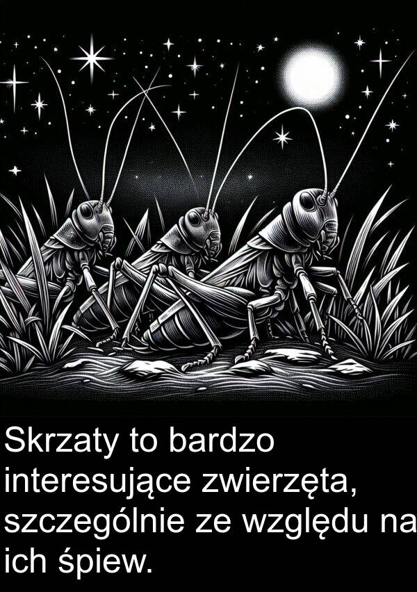 ich: Skrzaty to bardzo interesujące zwierzęta, szczególnie ze względu na ich śpiew.