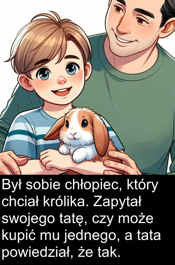 chłopiec: Był sobie chłopiec, który chciał królika. Zapytał swojego tatę, czy może kupić mu jednego, a tata powiedział, że tak.