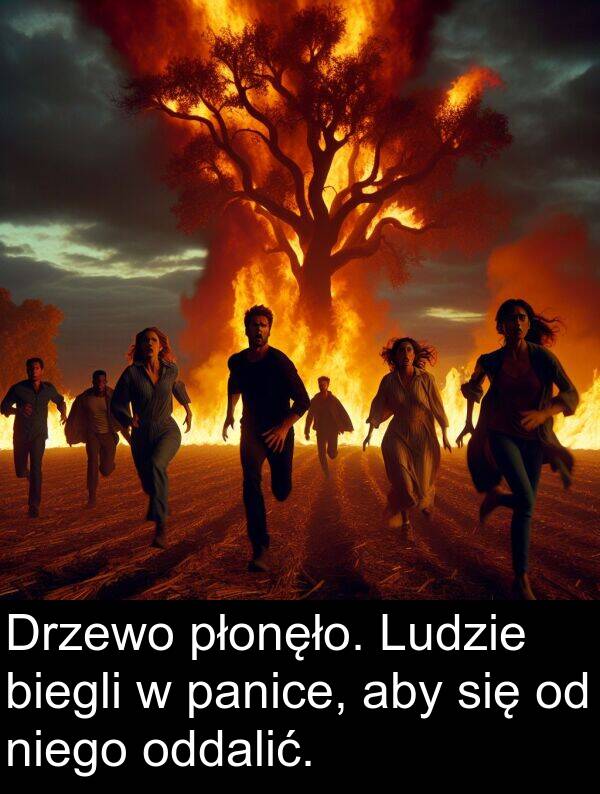 biegli: Drzewo płonęło. Ludzie biegli w panice, aby się od niego oddalić.