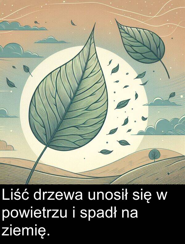 drzewa: Liść drzewa unosił się w powietrzu i spadł na ziemię.