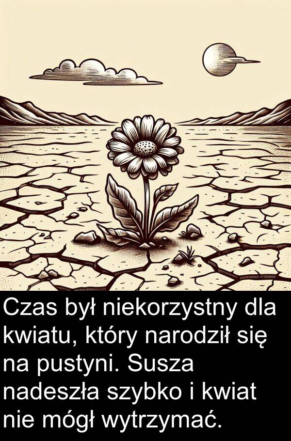 kwiat: Czas był niekorzystny dla kwiatu, który narodził się na pustyni. Susza nadeszła szybko i kwiat nie mógł wytrzymać.