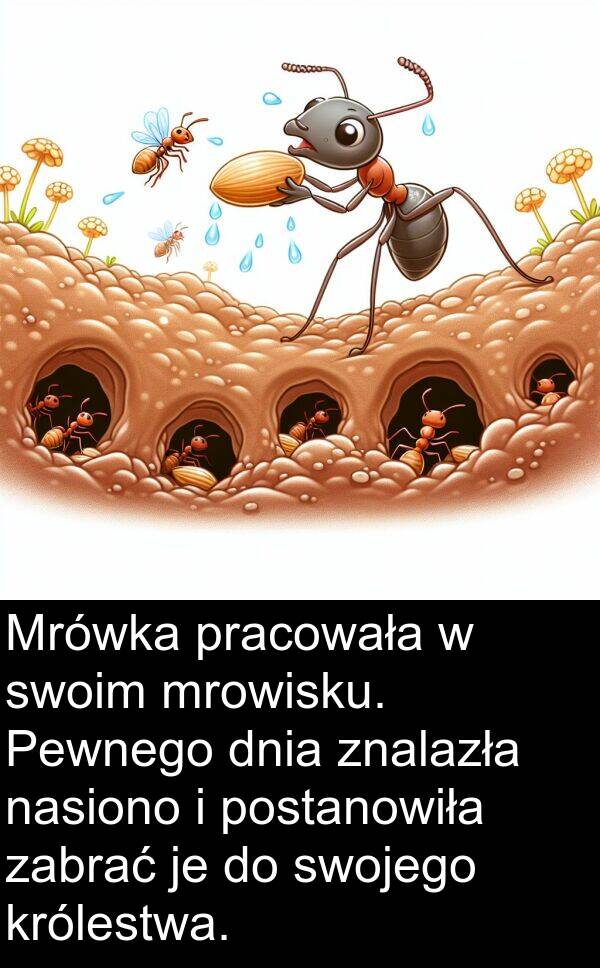 dnia: Mrówka pracowała w swoim mrowisku. Pewnego dnia znalazła nasiono i postanowiła zabrać je do swojego królestwa.