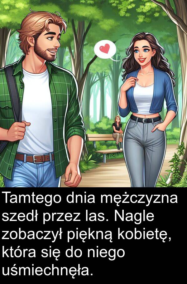 las: Tamtego dnia mężczyzna szedł przez las. Nagle zobaczył piękną kobietę, która się do niego uśmiechnęła.