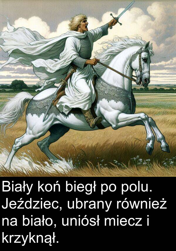 ubrany: Biały koń biegł po polu. Jeździec, ubrany również na biało, uniósł miecz i krzyknął.