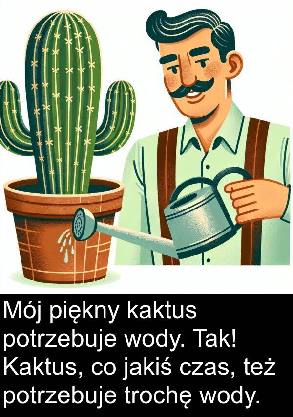 jakiś: Mój piękny kaktus potrzebuje wody. Tak! Kaktus, co jakiś czas, też potrzebuje trochę wody.